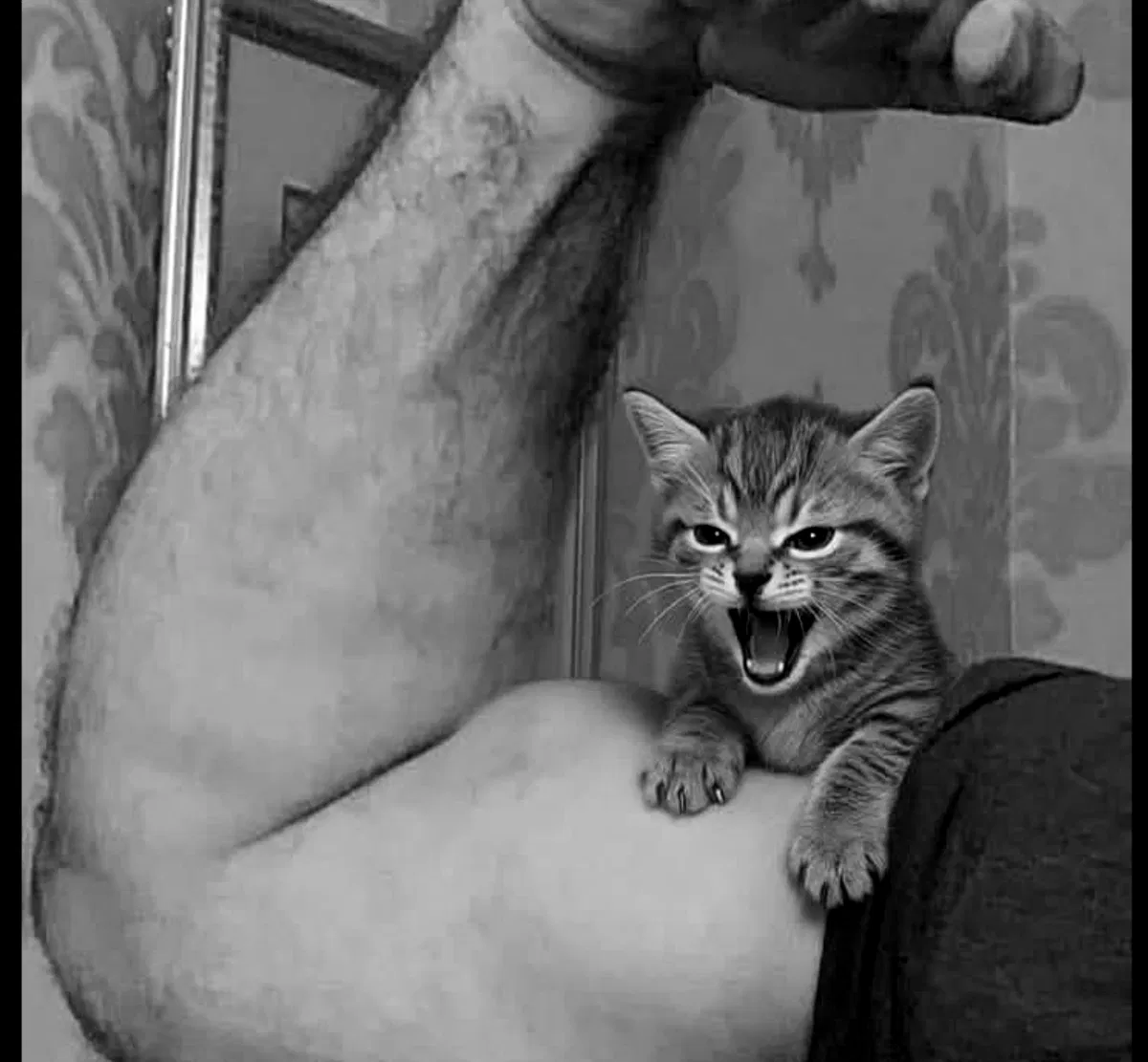 Avatar of Denver Thomas. |Your clingy stepFather.|
