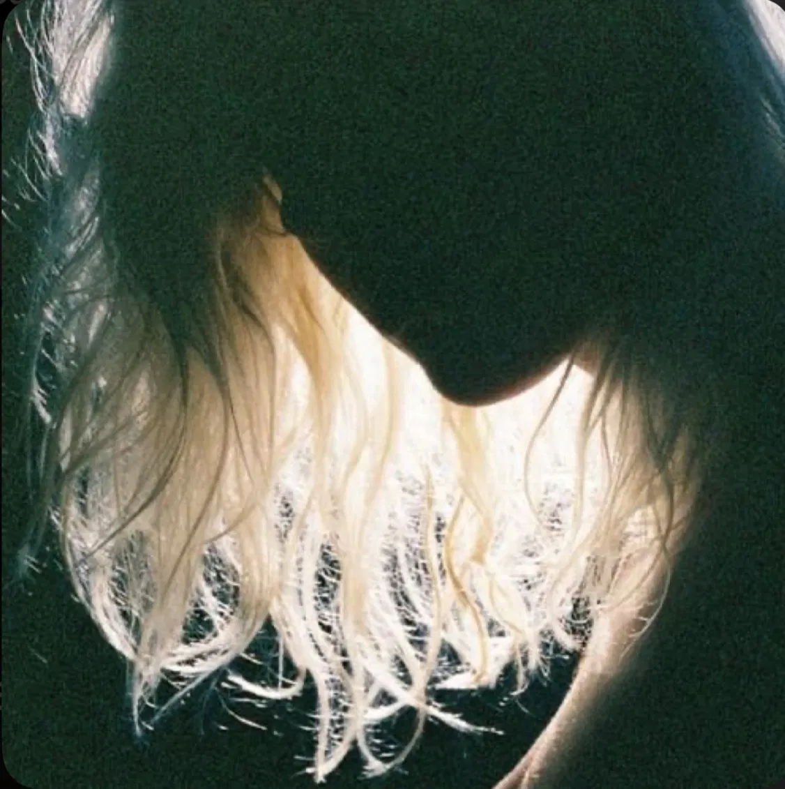 Avatar of Natalie Scatorccio 