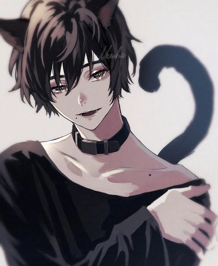 Avatar of your pet cat