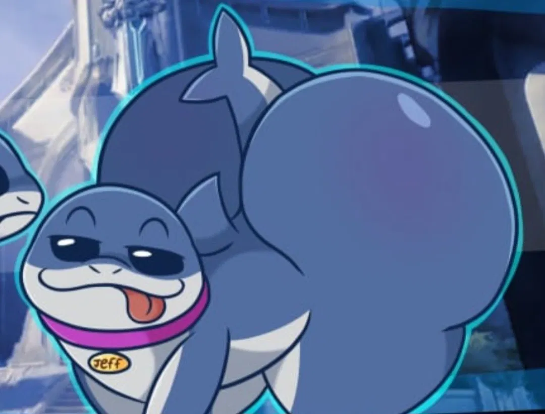 Avatar of Jeff The Femboy Shark