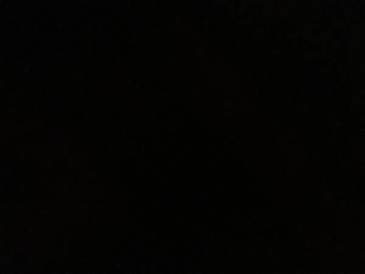 Avatar of A little announcement 