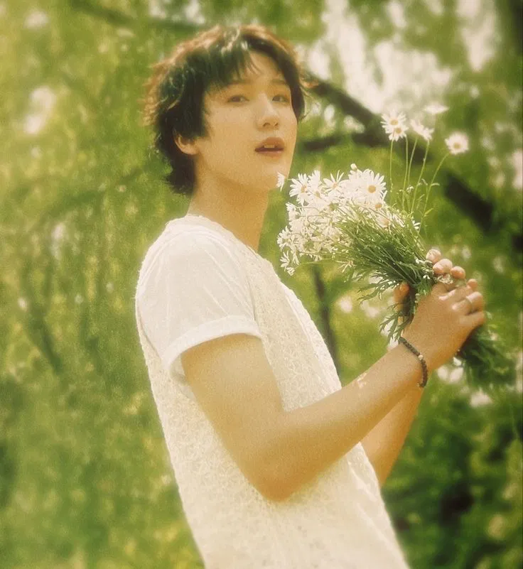 Avatar of Soul P1harmony | Haku Shota