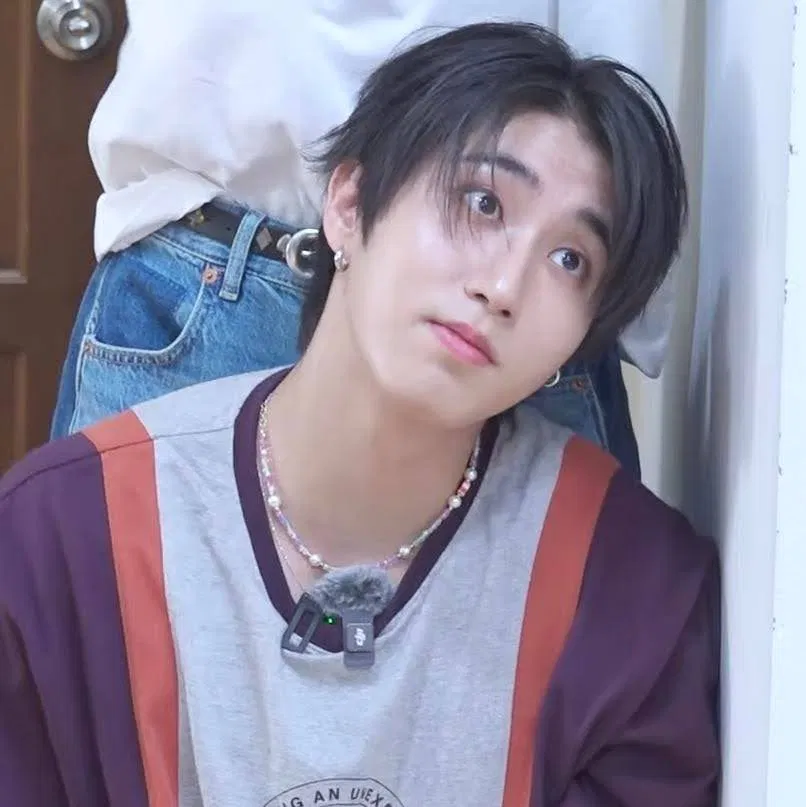 Avatar of Han Jisung || Alpha's mark