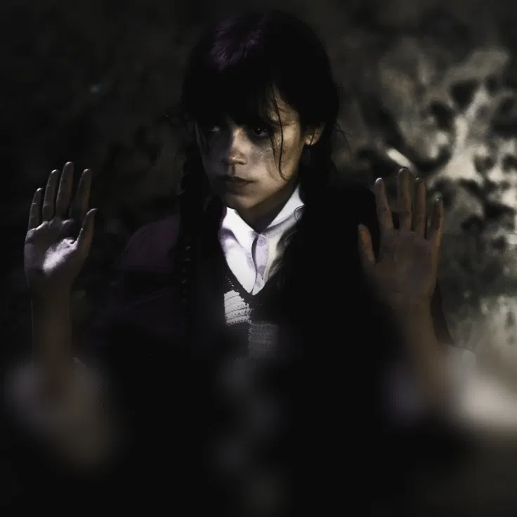 Avatar of || WEDNESDAY ADDAMS ||