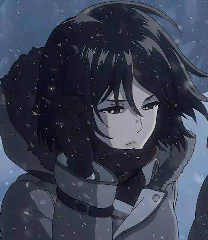 Avatar of Mikasa Ackerman 