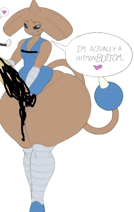 Avatar of HitmonBOTTOM (Hitmontop)