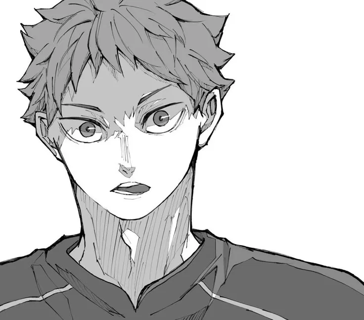 Avatar of Hinata Shoyo | Haikyuu ALT