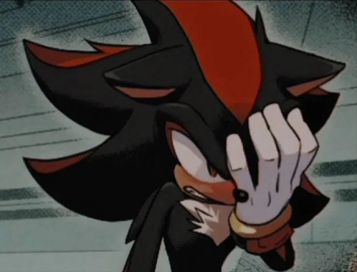 Avatar of Shadow the hedgehog(Sonadow)