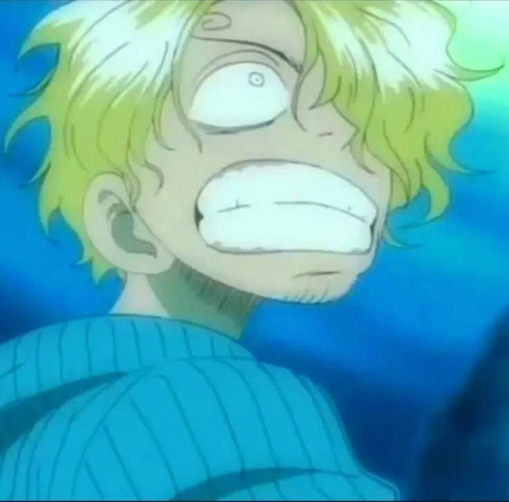 Avatar of Sanji Vinesmoke 