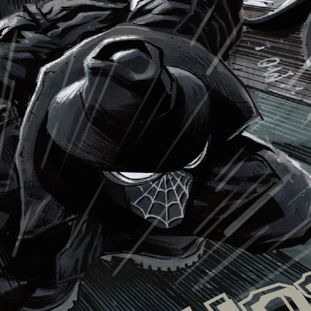 Avatar of 🕷 ‧ ₊ ˚ spider noir! 𒌐 ﾟ . ✗ ‧