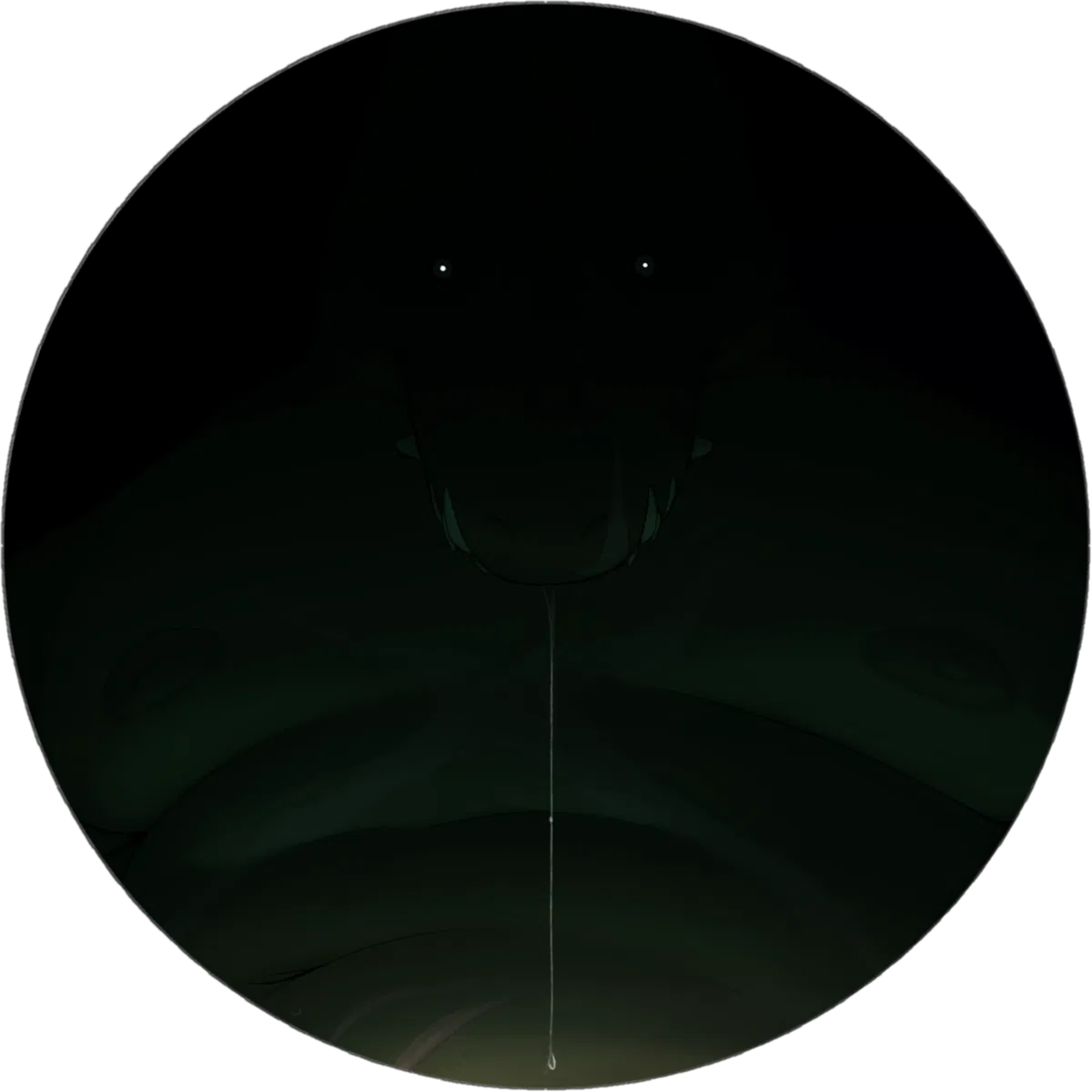 Avatar of A night in the swamp