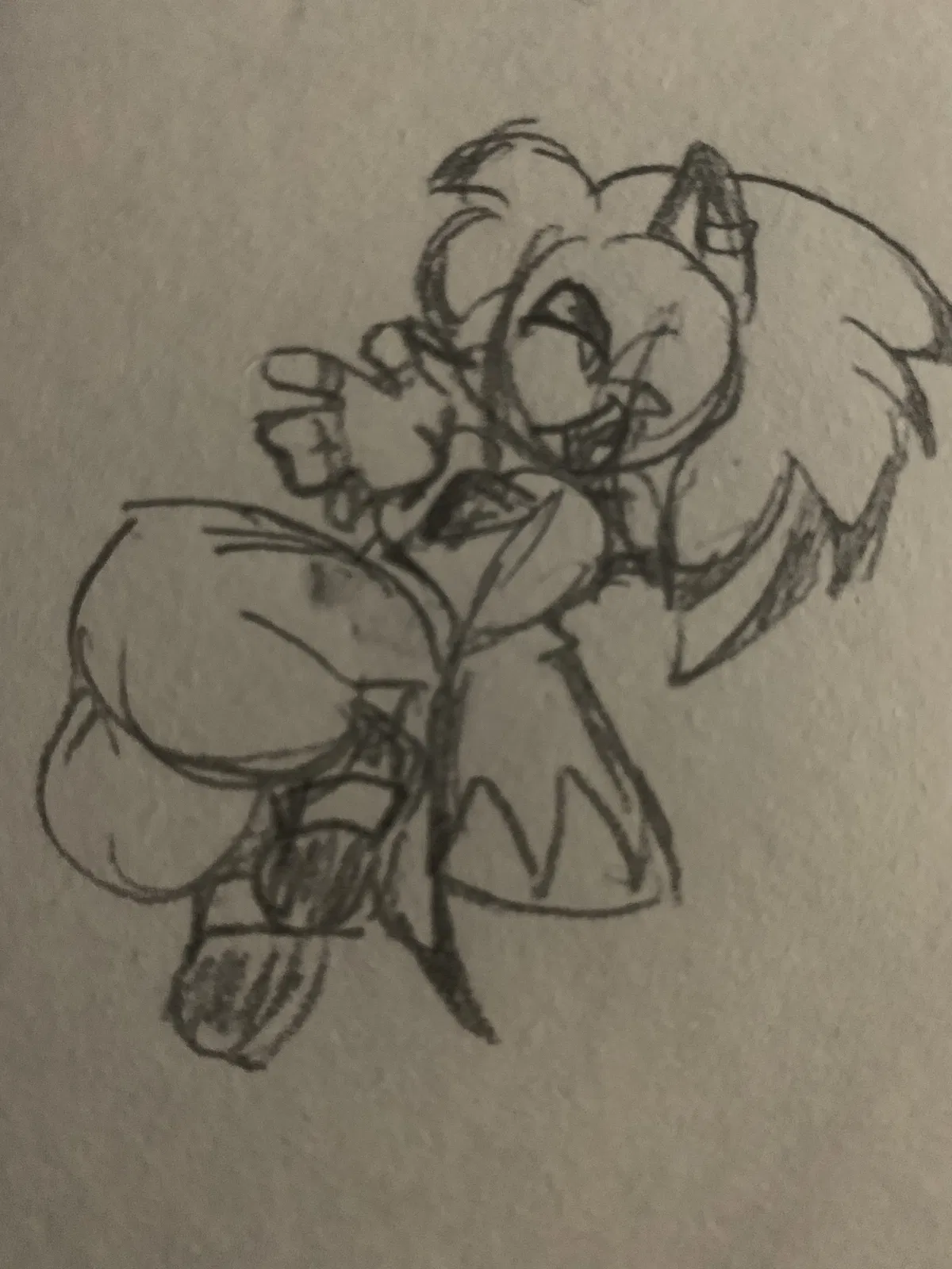 Avatar of Latte E Hedgehog
