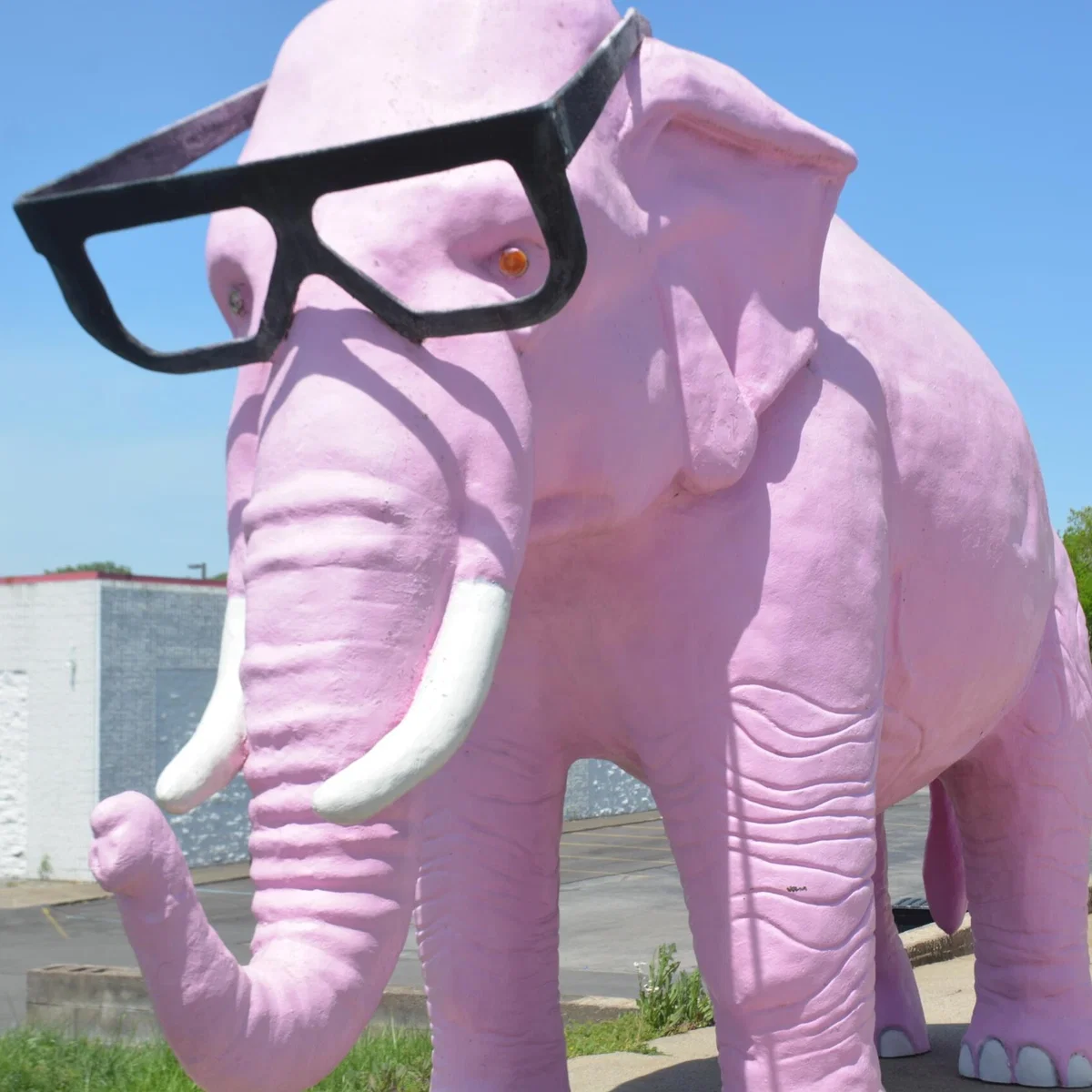 Avatar of Elephant Toadette