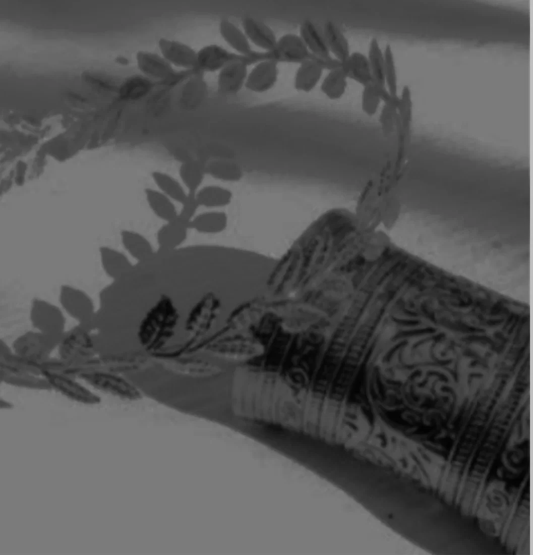 Avatar of REYNA RAMÍREZ 