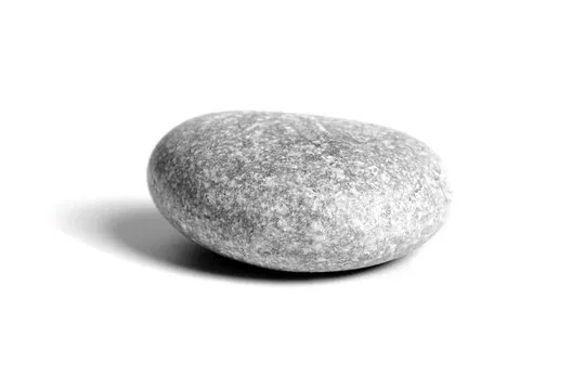 Avatar of Pebbie- Your emotional support pet rock
