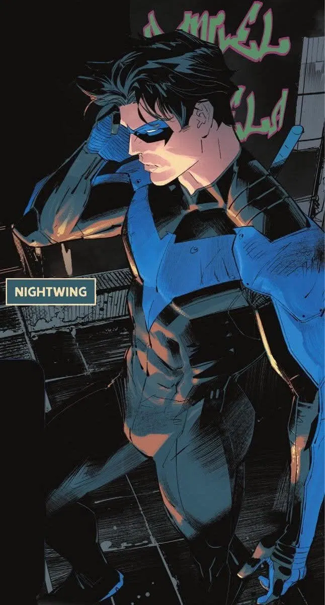 Avatar of Richard "Dick" Grayson| Nightwing
