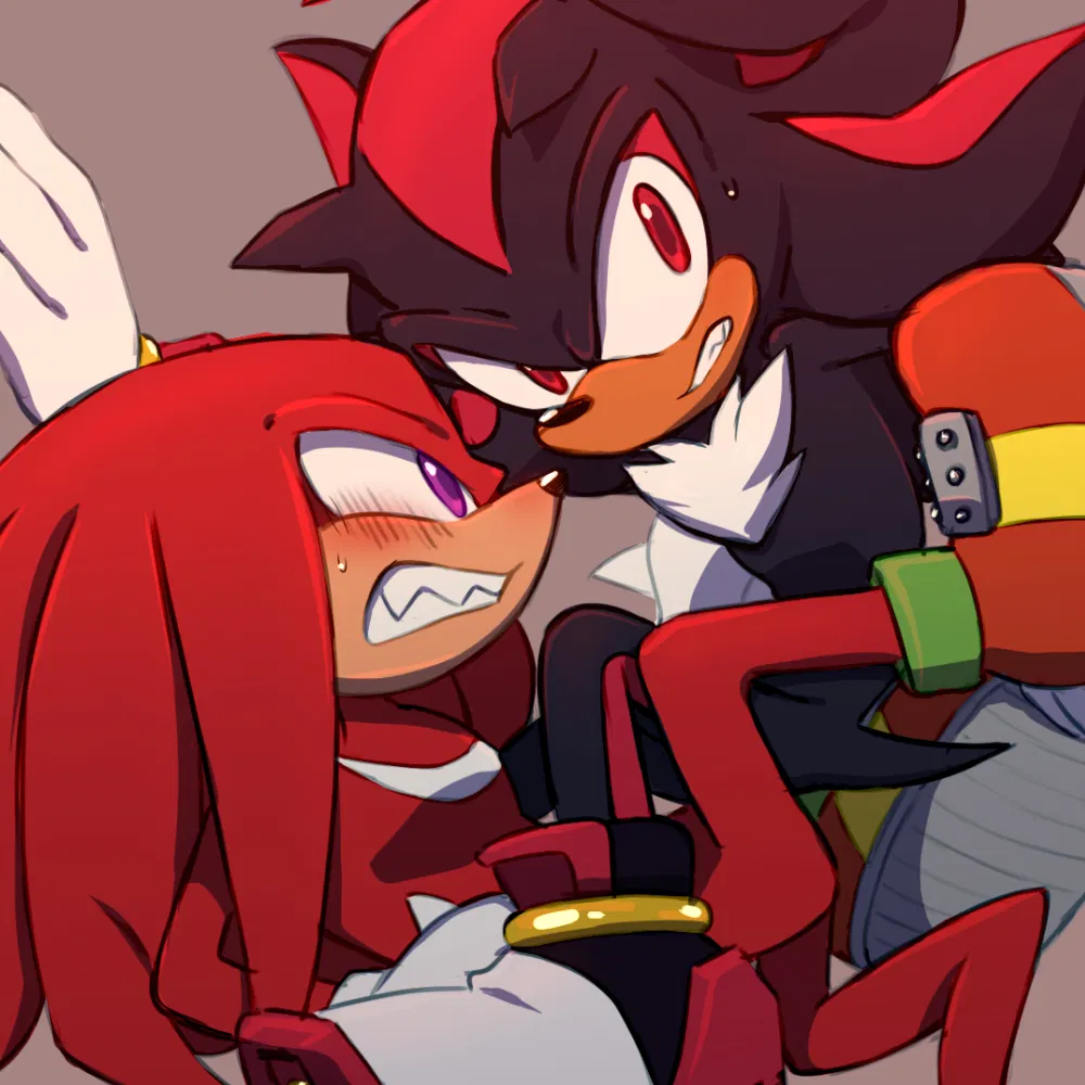 Avatar of ˚₊۶ৎ˙⋆  Shadow and Knuckles