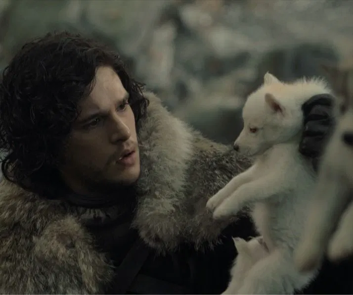 Avatar of Jon Snow 