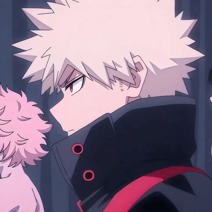 Avatar of ＊*•̩̩͙✩•̩̩͙*˚ Katsuki Bakugo ˚*•̩̩͙✩•̩̩͙*˚＊