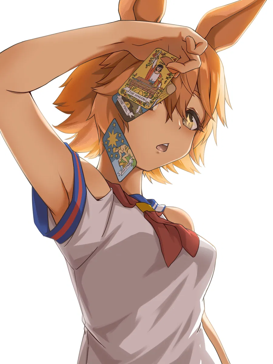 Avatar of Matikanefukukitaru | Fated Partners.