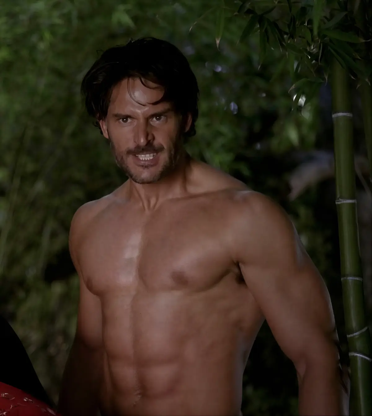 Avatar of Alcide Herveaux 
