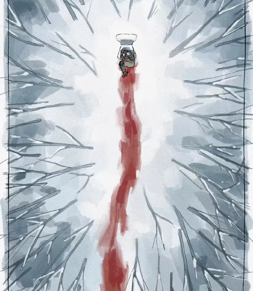 Avatar of König 