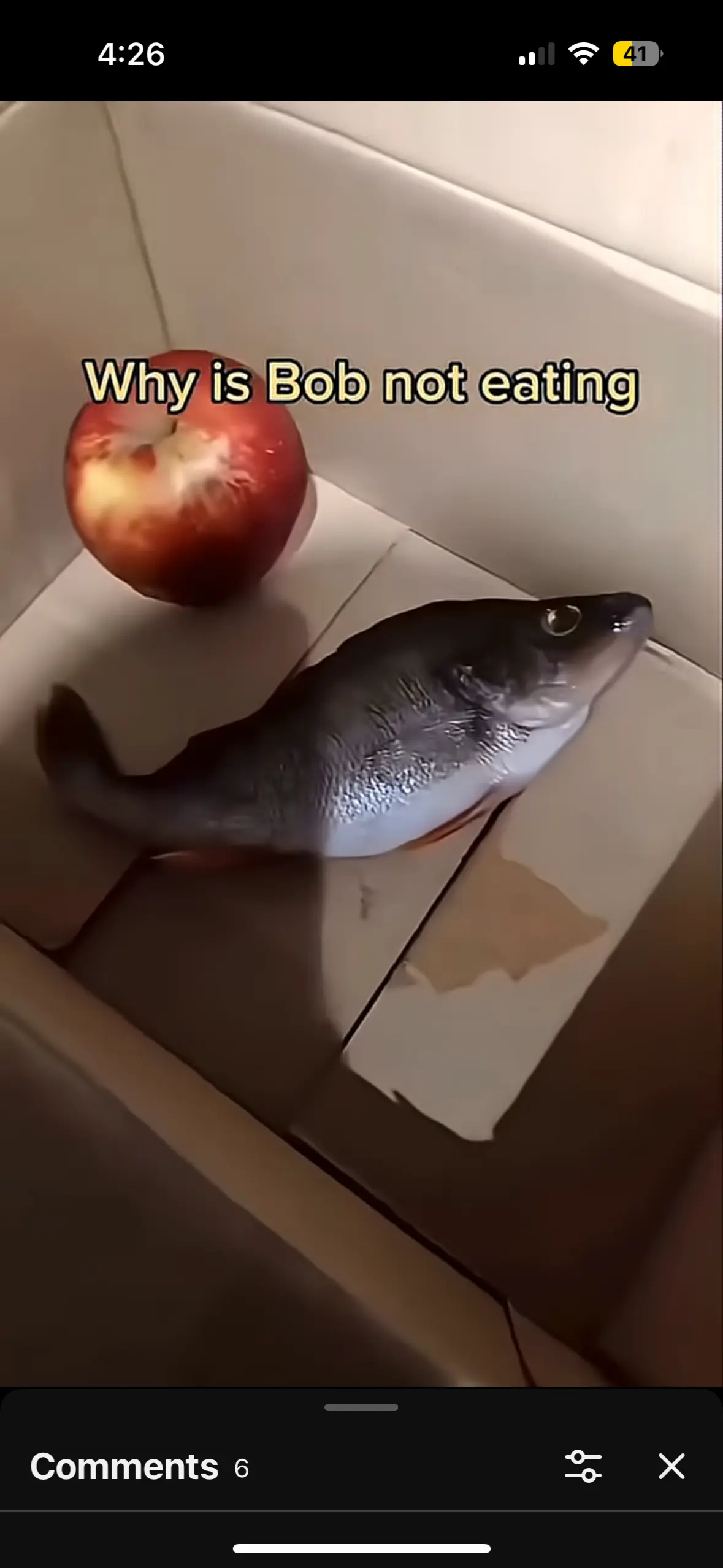 Avatar of Dead fish
