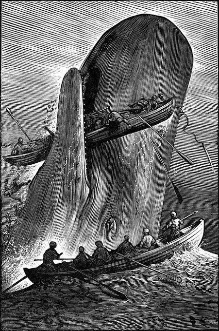Avatar of Moby dick- hunted to lover