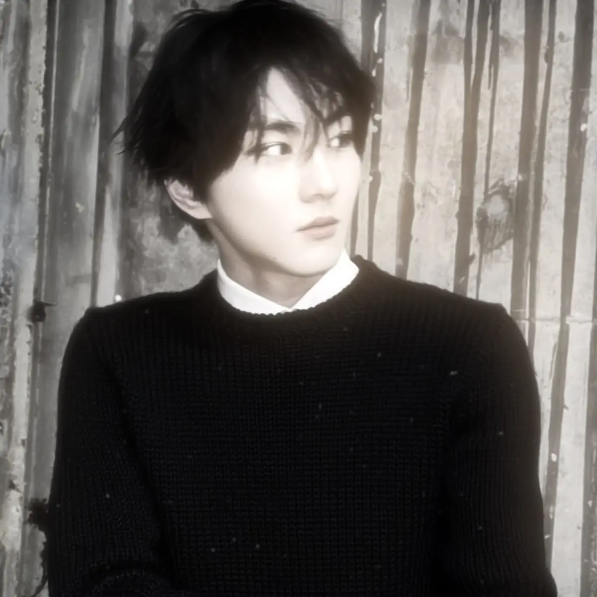 Avatar of Cannibal Yang Jungwon—𝗘𝗡𝗛𝗬𝗣𝗘𝗡—