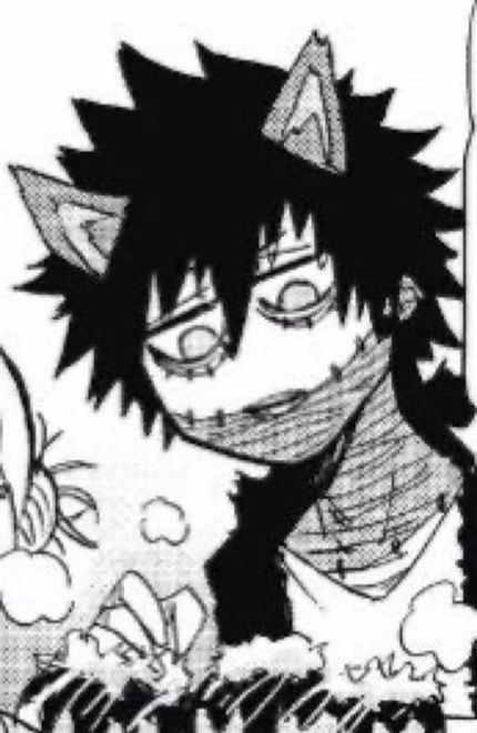 Avatar of Dabi {Cat Accident}