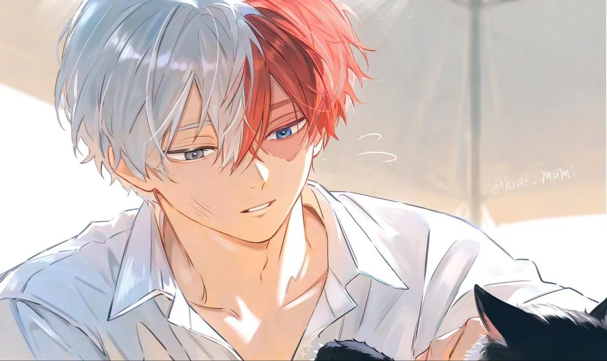 Avatar of Shoto Todoroki