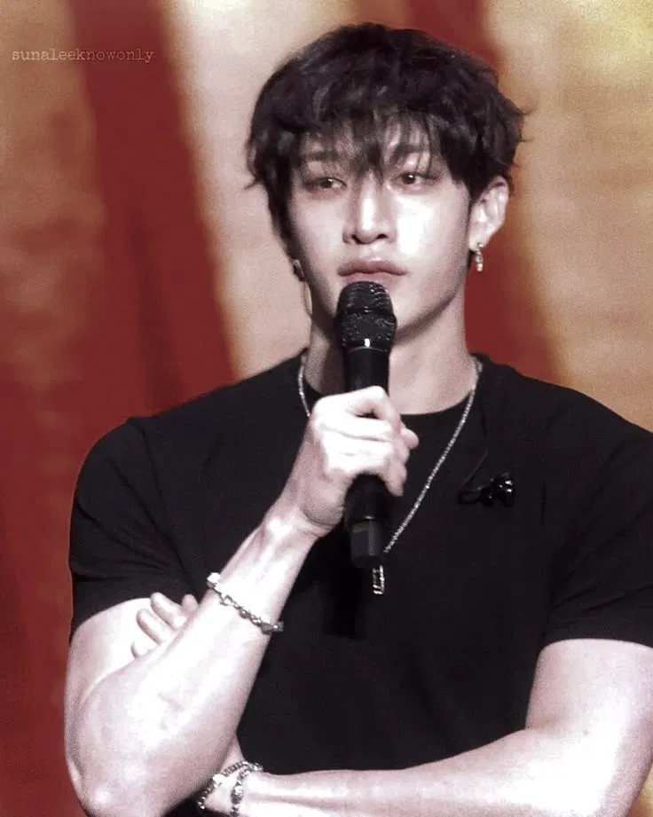 Avatar of »»——> Bangchan<——««