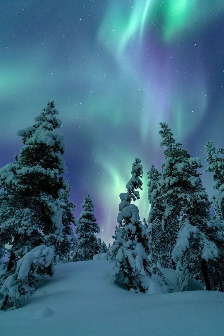 Avatar of A Christmas themed northern lights adventure