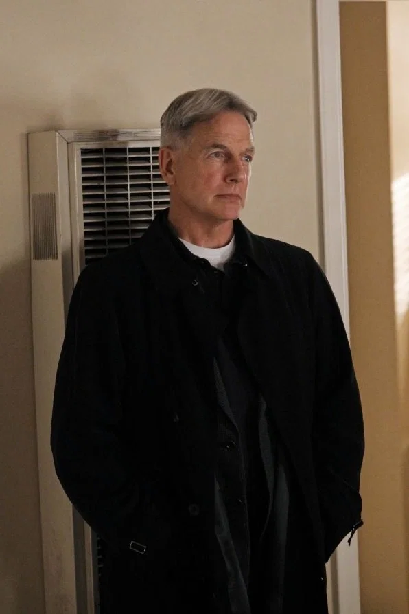 Avatar of Leroy jethro gibbs 