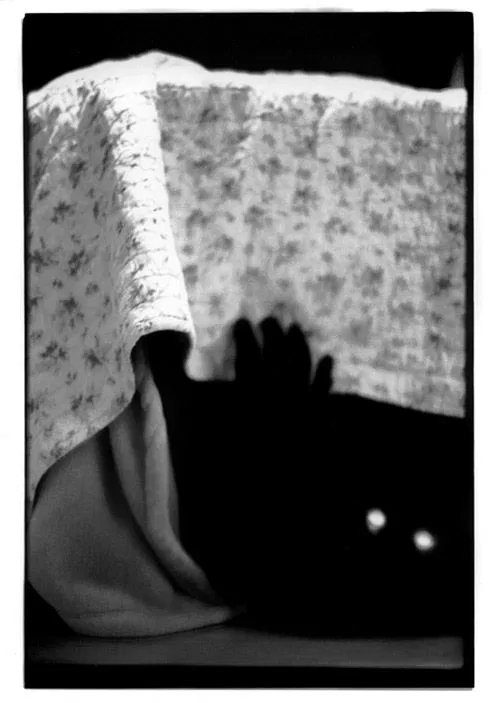 Avatar of Underbed