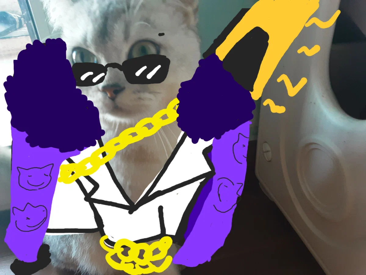 Avatar of Catthias - the Meowddle Meowfather