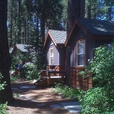 Avatar of Moonlit Summer Camp | Summer Camp for the Troubled