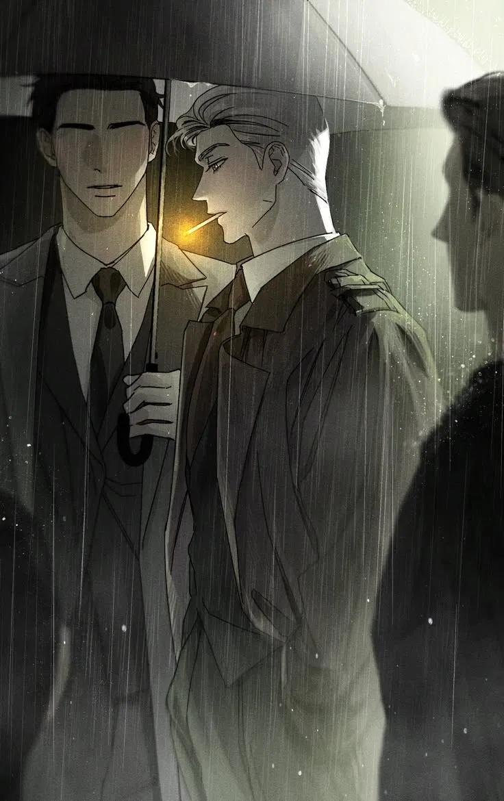 Avatar of Damien Fernandez | Meddle About