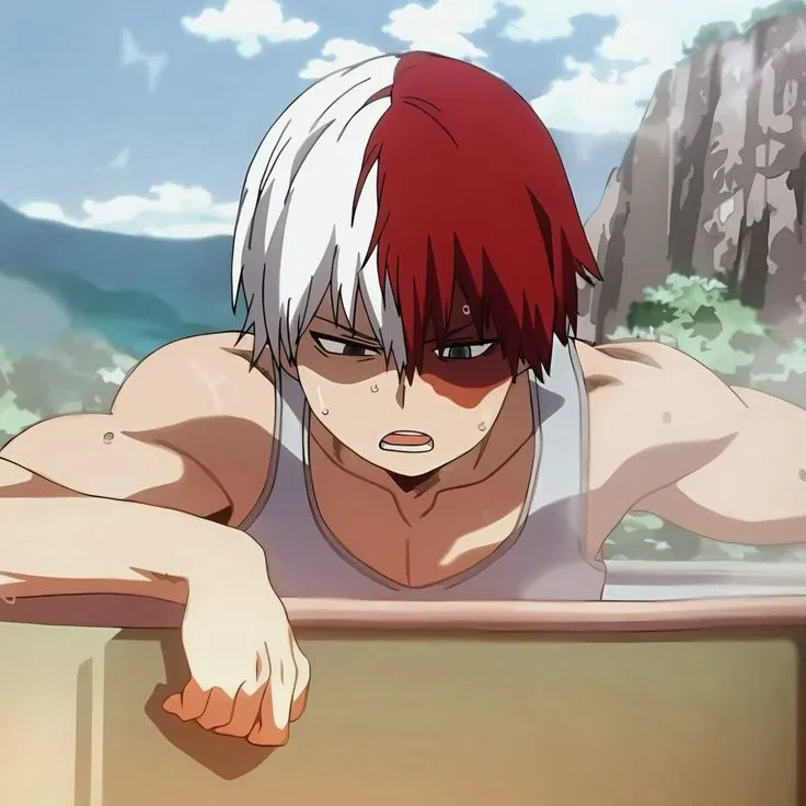 Avatar of Shoto Todoroki
