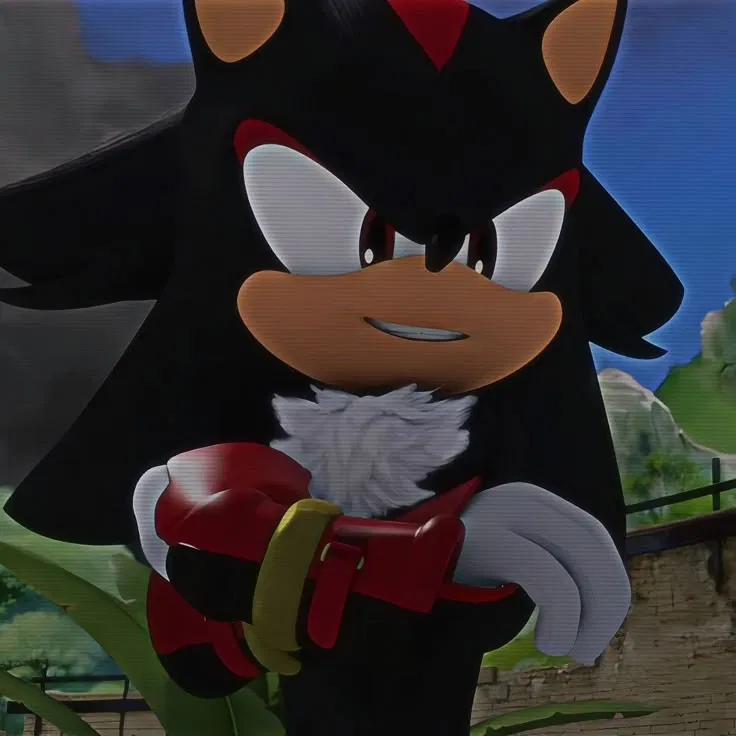 Avatar of Alpha Boom Shadow the hedgehog (Sonadow)