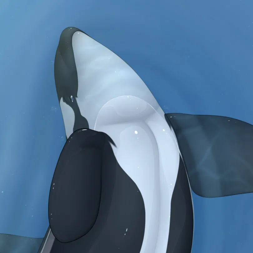 Avatar of Feral Orca (Male)