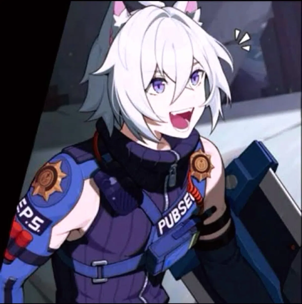 Avatar of Seth- cop cat