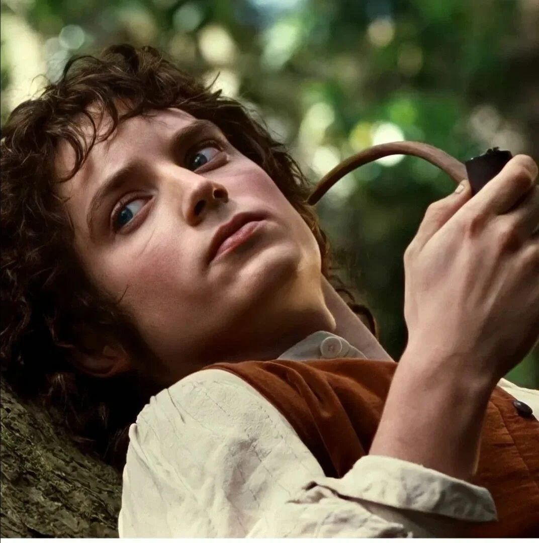 Avatar of Frodo Baggins