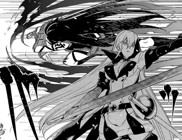 Avatar of Akame and Esdeath 