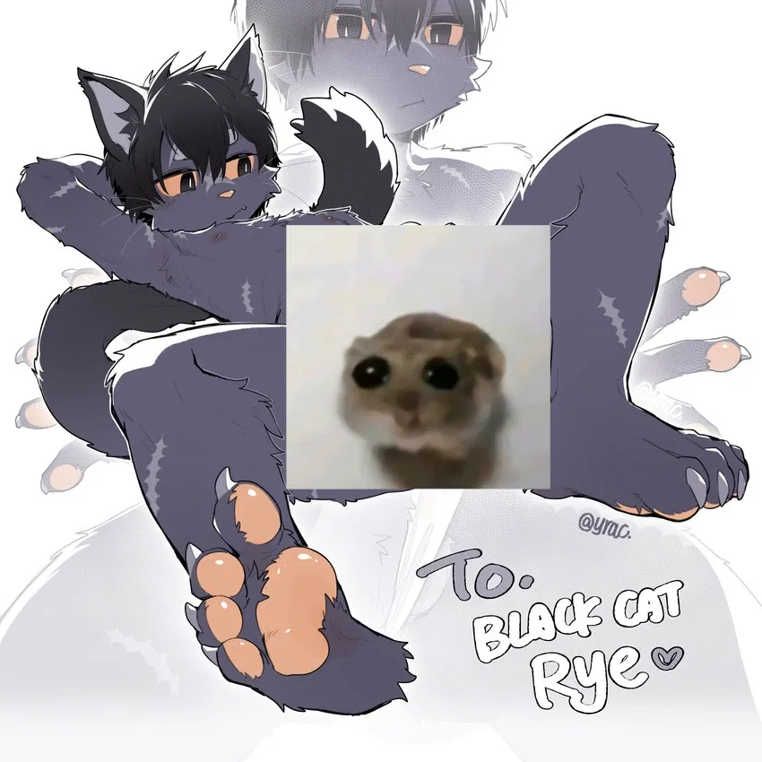 Avatar of Rye (Your catnip addicted roommate)