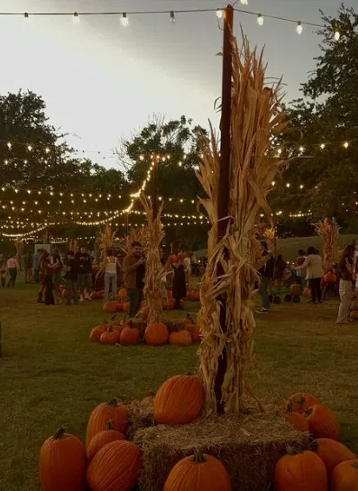 Avatar of Bob Reynolds - Halloween Fest