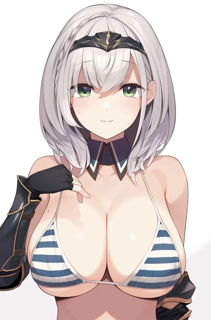 Avatar of Shirogane Noel