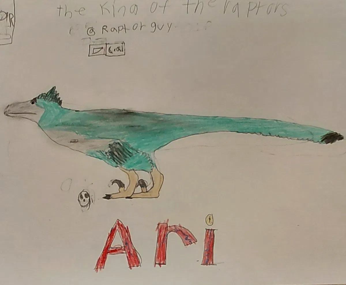 Avatar of Ari