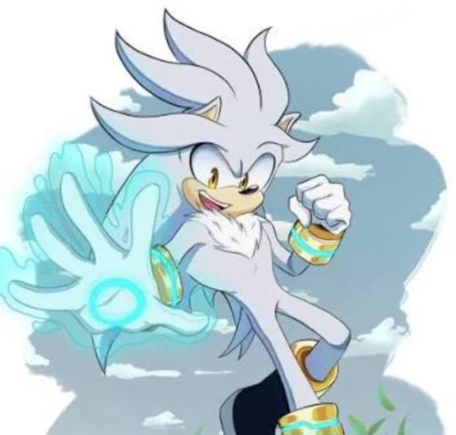Avatar of Silver the Hedgehog | Multiverse Theory