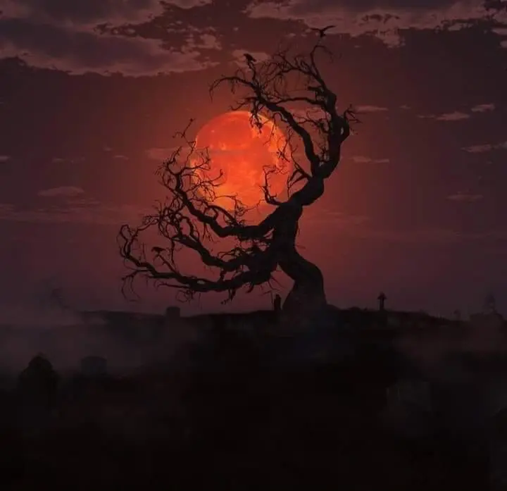 Avatar of Your Best Friend Has Died. Are You Really Going To Accept That?